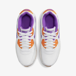 Nike Pantofi Sport Air Max 90 LTR 
