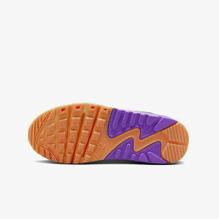 Nike Pantofi Sport Air Max 90 LTR 