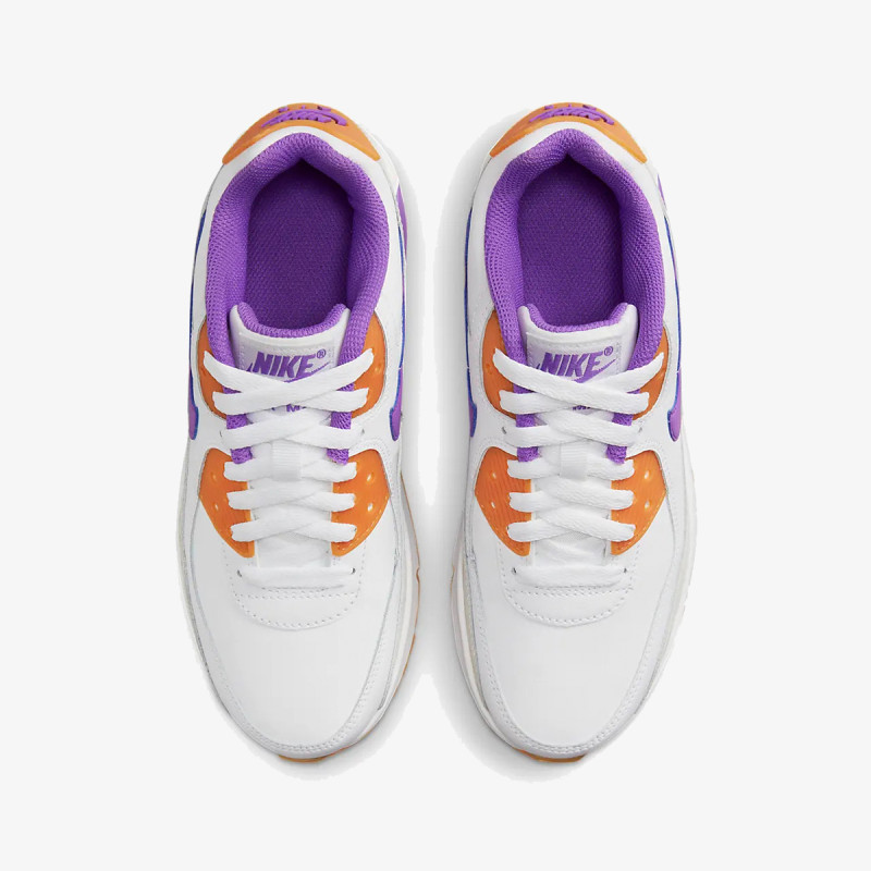 Nike Pantofi Sport Air Max 90 LTR 