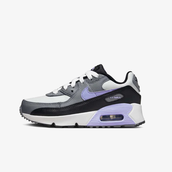 Nike Pantofi Sport Air Max 90 LTR 