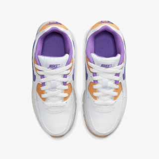 Nike Pantofi Sport Air Max 90 LTR 