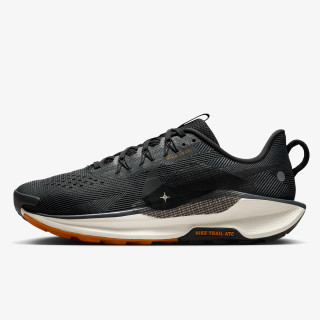 Nike Pantofi Sport NIKE REACTX PEGASUS TRAIL 5 