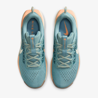 Nike Pantofi Sport W REACTX PEGASUS TRAIL 5 