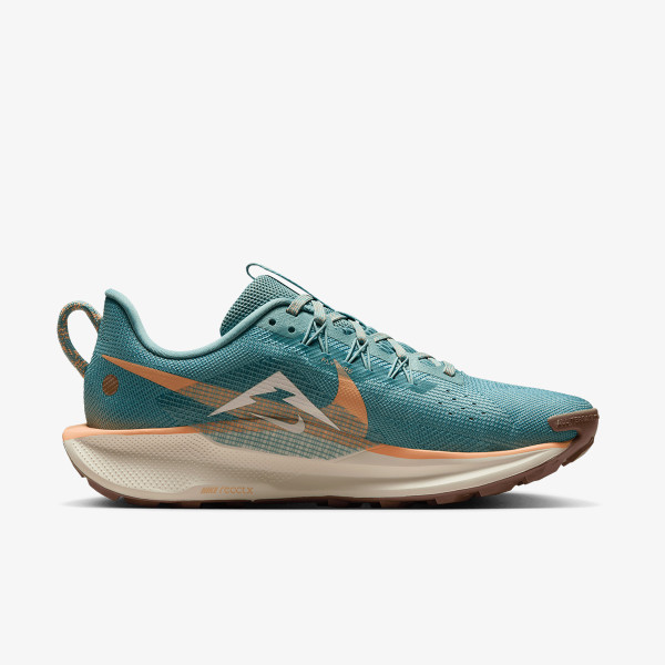 Nike Pantofi Sport W REACTX PEGASUS TRAIL 5 