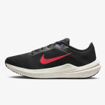 Nike Pantofi Sport Winflo 10 