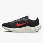 NIKE Pantofi Sport Air Winflo 10 