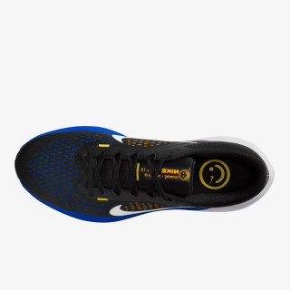 Nike Pantofi Sport Winflo 10 