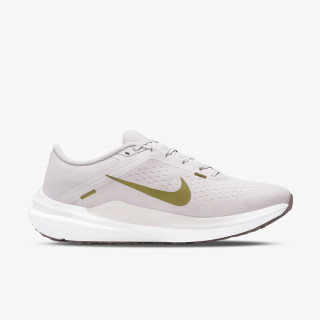 Nike Pantofi Sport Winflo 10 