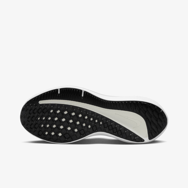 Nike Pantofi Sport W AIR WINFLO 10 