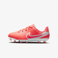 Nike Ghete de fotbal JR Legend 10 Academy 