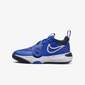 Nike Pantofi Sport Team Hustle D 11 