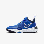 Nike Pantofi Sport TEAM HUSTLE D 11 GS 