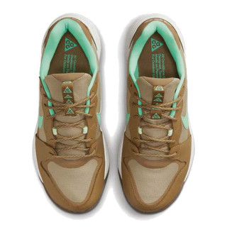 Nike Pantofi Sport ACG LOWCATE 