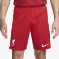 Nike Pantaloni scurti Liverpool Dri-FIT Home Jersey 