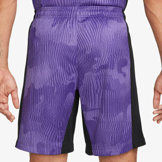Nike Pantaloni scurti Liverpool FC 2023/24 Stadium Third 