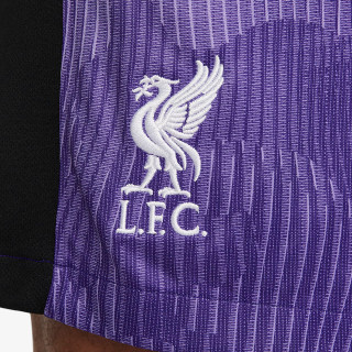Nike Pantaloni scurti Liverpool FC 2023/24 Stadium Third 