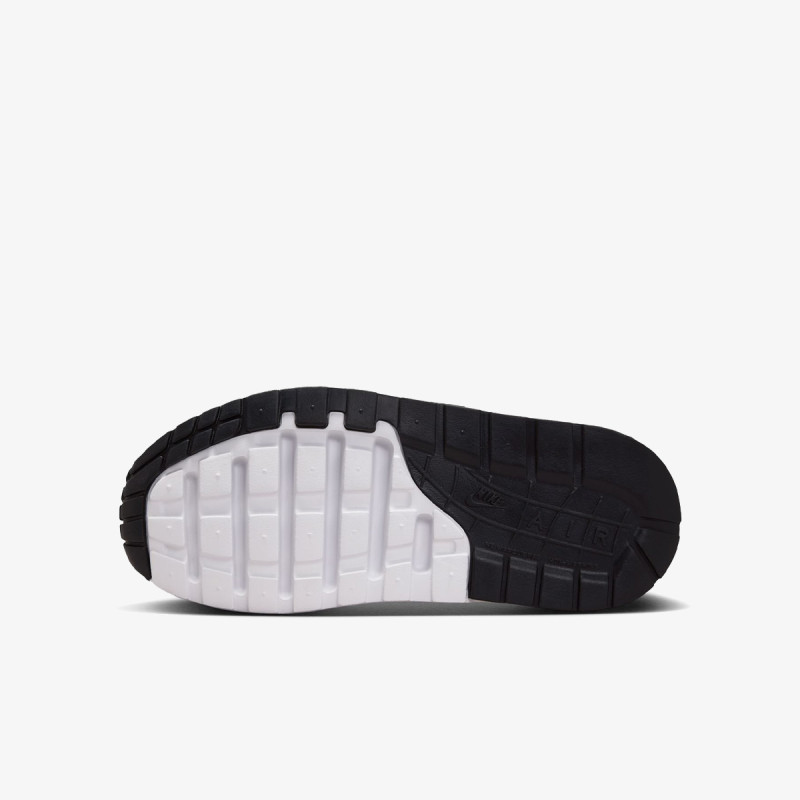 Nike Pantofi Sport AIR MAX 1 EASYON BP 