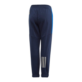 adidas Pantaloni de trening LB DY SM PANT 