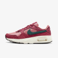 Nike Pantofi Sport Air Max 