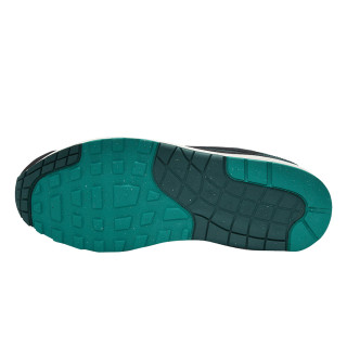Nike Pantofi Sport NIKE AIR MAX 1 PRM 