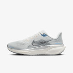 Nike Pantofi Sport W AIR ZOOM PEGASUS 41 