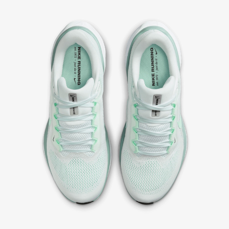 Nike Pantofi Sport W AIR ZOOM PEGASUS 41 