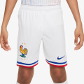 Nike Pantaloni scurti FFF YNK DF STAD SHORT HM 