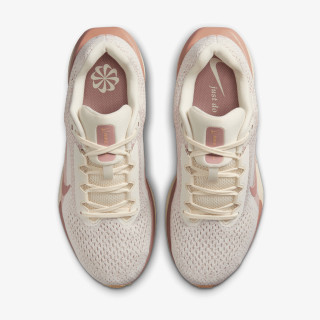 Nike Pantofi Sport WMNS NIKE AIR WINFLO 11 