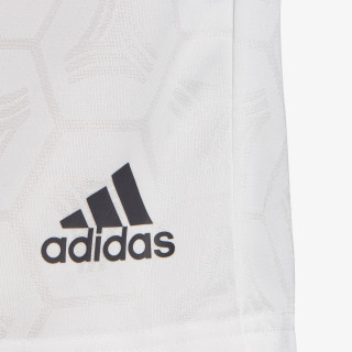 adidas Pantaloni scurti TAN JQD SHO 