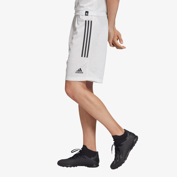 adidas Pantaloni scurti TAN JQD SHO 