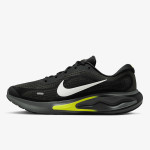 Nike Pantofi Sport NIKE JOURNEY RUN 
