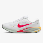 Nike Pantofi Sport NIKE JOURNEY RUN 