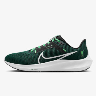 Nike Pantofi Sport NIKE ZOOM PEGASUS 40 LFC 