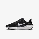 Nike Pantofi Sport Pegasus 41 