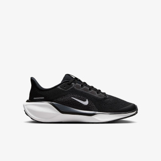 Nike Pantofi Sport Pegasus 41 