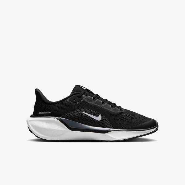 Nike Pantofi Sport Pegasus 41 