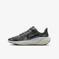 Nike Pantofi Sport AIR ZOOM PEGASUS 41 GS 