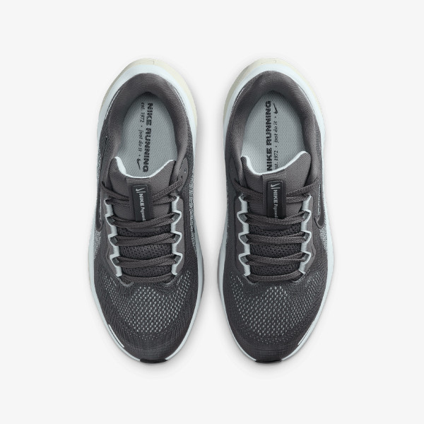 Nike Pantofi Sport AIR ZOOM PEGASUS 41 GS 