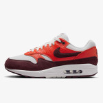 Nike Pantofi Sport NIKE AIR MAX 1 ESS 