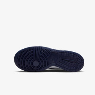 Nike Pantofi Sport Dunk Low Big Kids' Shoes 