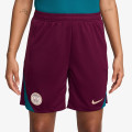 Nike Pantaloni scurti Paris Saint-Germain 