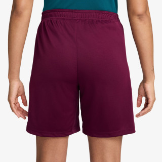Nike Pantaloni scurti Paris Saint-Germain 