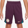 Nike Pantaloni scurti Paris Saint-Germain 