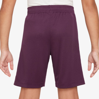 Nike Pantaloni scurti Paris Saint-Germain 