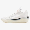Nike Pantofi Sport Air Jordan 39 