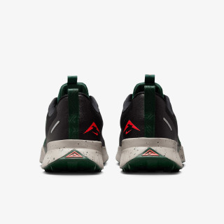 Nike Pantofi Sport JUNIPER TRAIL 3 