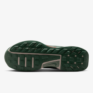 Nike Pantofi Sport JUNIPER TRAIL 3 