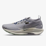 Nike Pantofi Sport REACTX PEGASUS TRAIL 5 GTX 