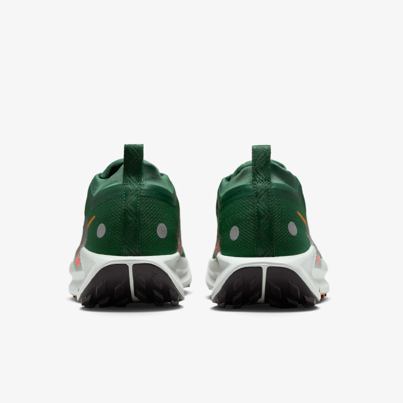 Nike Pantofi Sport REACTX PEGASUS TRAIL 5 GTX 