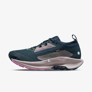 Nike Pantofi Sport Pegasus Trail 5 Gtx 